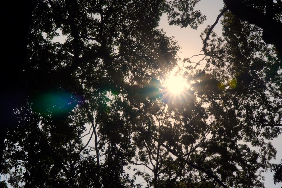 TP Hồ Chí Minh nắng nóng có xu hướng tăng trên diện rộng, tia UV ở mức cao