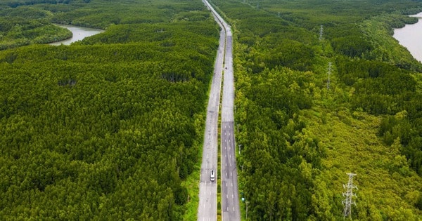 UBND TPHCM ban hành kế hoạch giải phóng mặt bằng tuyến đường sắt Bến Thành - Cần Giờ