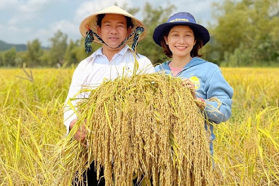 Tiến sĩ phục tráng thành công giống nếp tiến vua