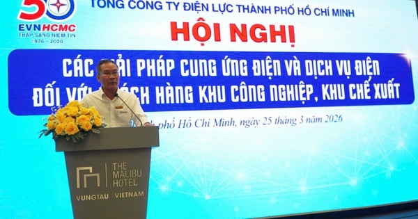 Điện lực TPHCM kích hoạt kịch bản ứng phó mùa khô
