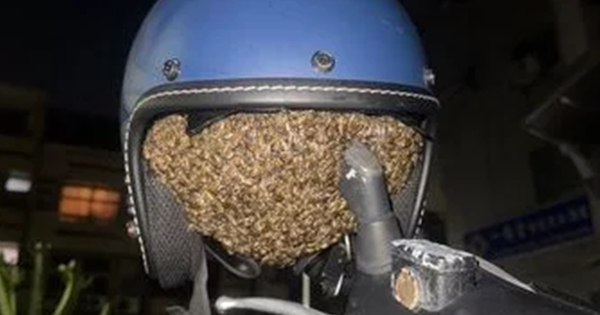 Treo mũ bảo hiểm qua đêm, người phụ nữ sốc nặng khi thấy cảnh tượng "nổi da gà"