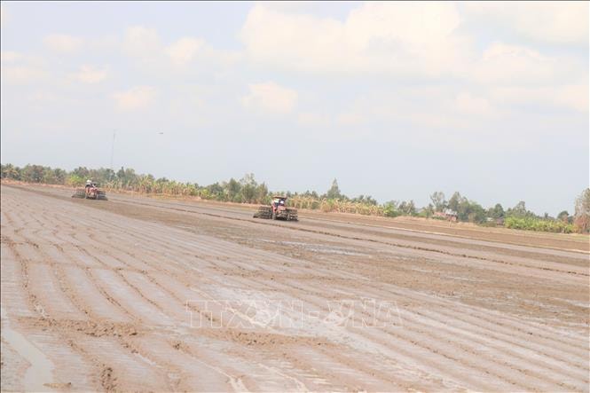 Gỡ 'nút thắt' liên kết trong Đề án 1 triệu ha lúa chất lượng cao