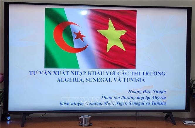 Cơ hội để doanh nghiệp Việt Nam xúc tiến xuất khẩu sang thị trường châu Phi