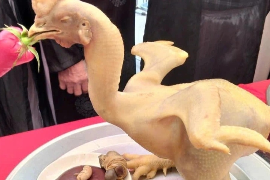 Đặc sản gà luộc lạ mắt làm 12 tiếng ở Bắc Ninh, đứng xoè cánh như còn sống