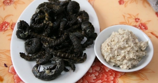 Con vật nhìn "sợ phát khóc" ở Tây Bắc xưa không ai ngó, nay thành món lạ, dân nhậu săn lùng