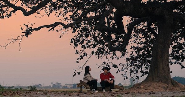 Phim mới trên VTV: Khi người trẻ 'ngược đường ngược nắng' giữ gìn truyền thống