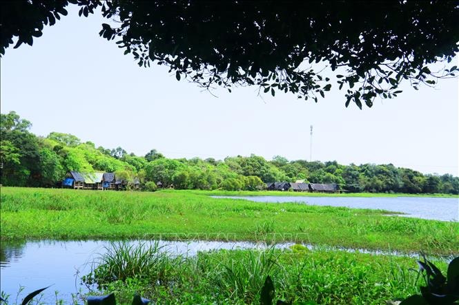 Đánh thức tiềm năng du lịch trằm Trà Lộc