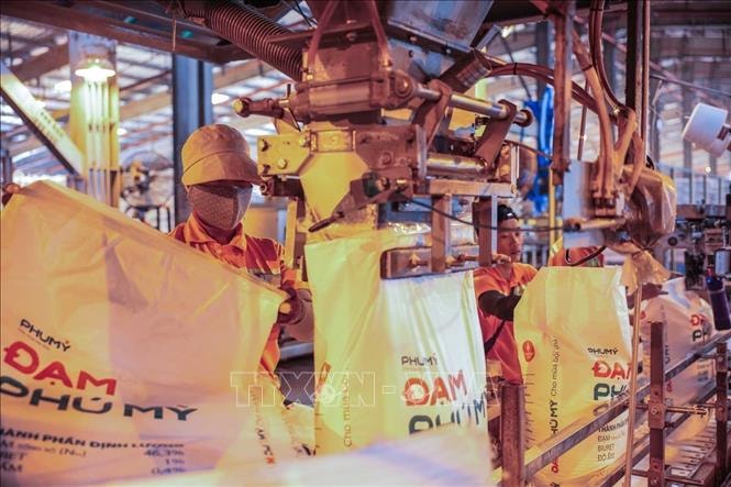 Tìm giải pháp ổn định thị trường phân bón trong nước