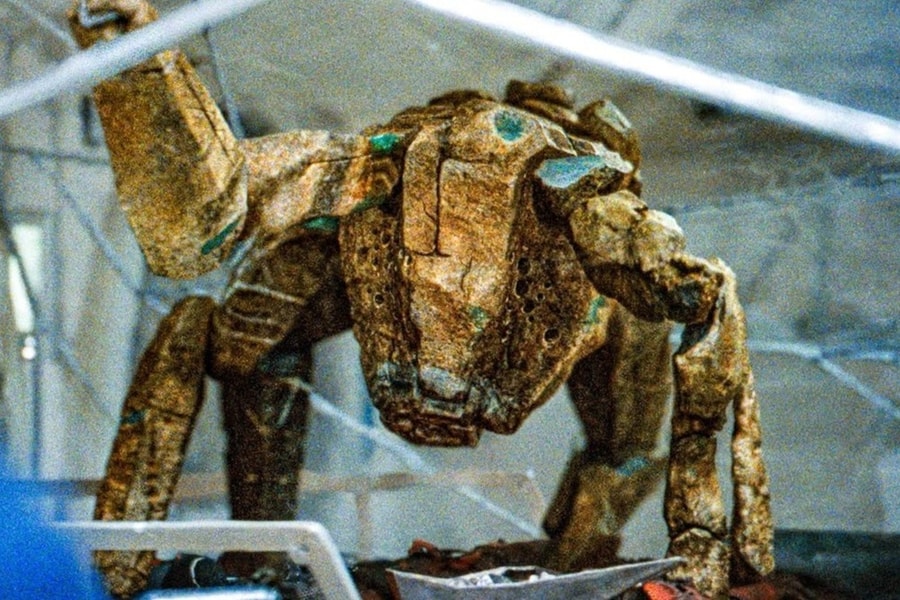 Giải mã sinh vật giống nhện nhưng toàn thân là đá ở ngoài hành tinh