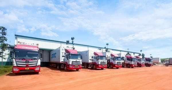 THILOGI tối ưu giải pháp chuỗi lạnh cho trái cây tươi xuất khẩu