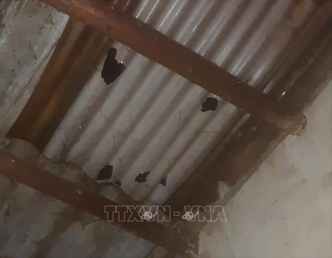 Cao Bằng: Mưa đá gây hư hại 743 mái nhà dân và 38ha hoa màu