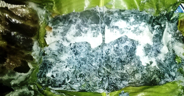 Loại lá mọc dại bờ rào được xem là "bảo bối" cho hệ tiêu hóa