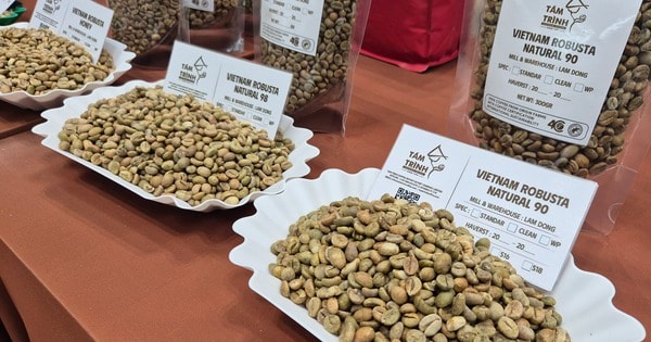 Giá cà phê hôm nay 31-3: Bị bán tháo mạnh ngay đầu tuần