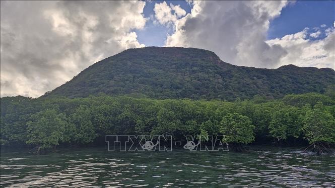 Việt Nam nhận gần 72 triệu USD hỗ trợ tài chính xanh