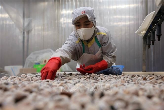 Điểm tin kinh tế Việt Nam nổi bật ngày 1/4/2026