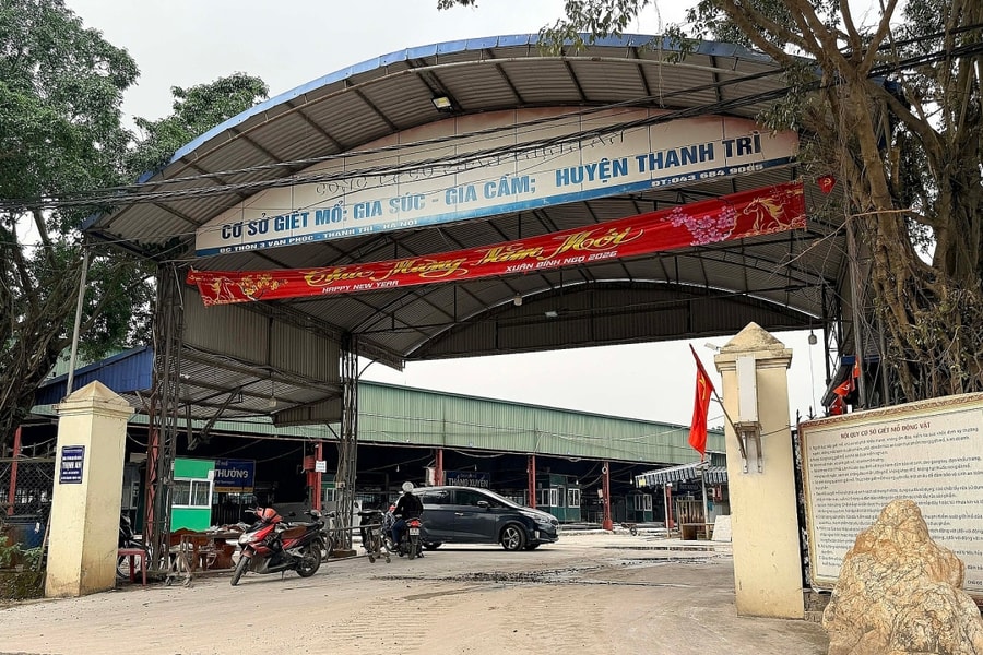 Chiêu 'vòi tiền' của cán bộ kiểm dịch thú y, tiếp tay tiêu thụ 3.600 con lợn bệnh