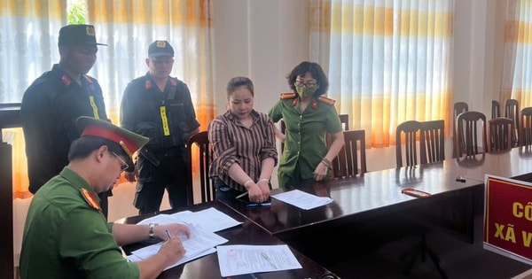 Hé lộ đường đi của heo bệnh vào lò mổ ở Cần Thơ