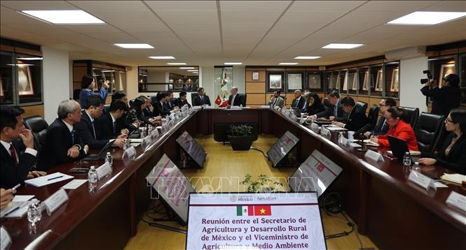 Thúc đẩy hợp tác nông nghiệp Việt Nam-Mexico thực chất và bền vững