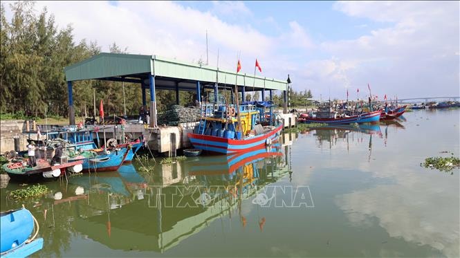 Phản hồi thông tin TTXVN: Cảng cá Hồng Triều sẽ sớm có đơn vị quản lý, vận hành