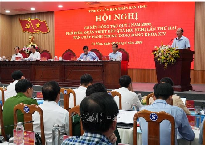 Cà Mau khắc phục khó khăn phấn đấu đạt tăng trưởng 2 con số