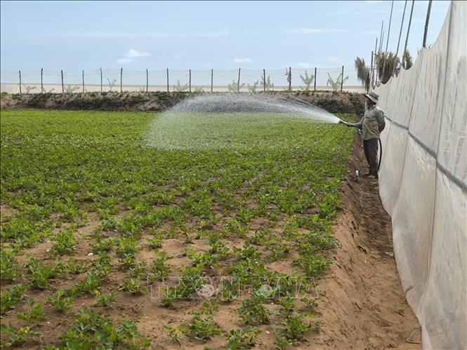 Hiệu quả từ công trình chống sạt lở ven biển