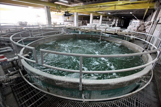 Khẩn trương khắc phục sự cố xì bể ống cấp nước DN1000 Chợ Lớn