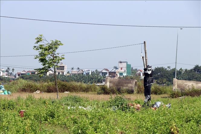 Dự án Kè và Khu dân cư Nam Sông Vệ vẫn dở dang sau 10 năm triển khai