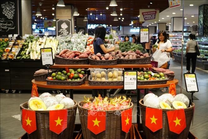 Huy động người Việt Nam ở nước ngoài giới thiệu, tiêu thụ sản phẩm, phát triển kênh phân phối hàng Việt Nam