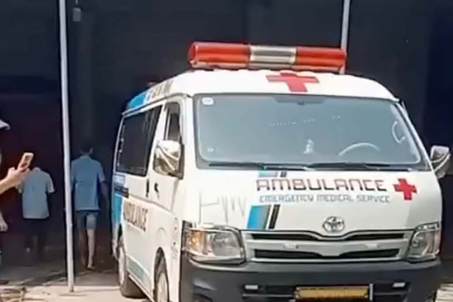 Chủ nhà bị chó becgie cắn tử vong