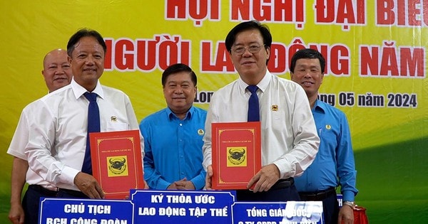 Công ty CP Phân bón Bình Điền: Không ngừng nâng cao phúc lợi cho người lao động