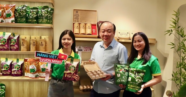 Cơ quan quản lý thị trường sắp livestream: Trứng gà, mắcca… yến sào chờ chốt đơn