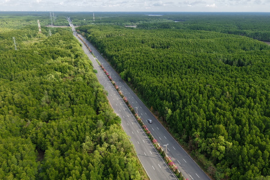 Đường xuyên rừng Cần Giờ trước đề xuất mở rộng lên 10 làn