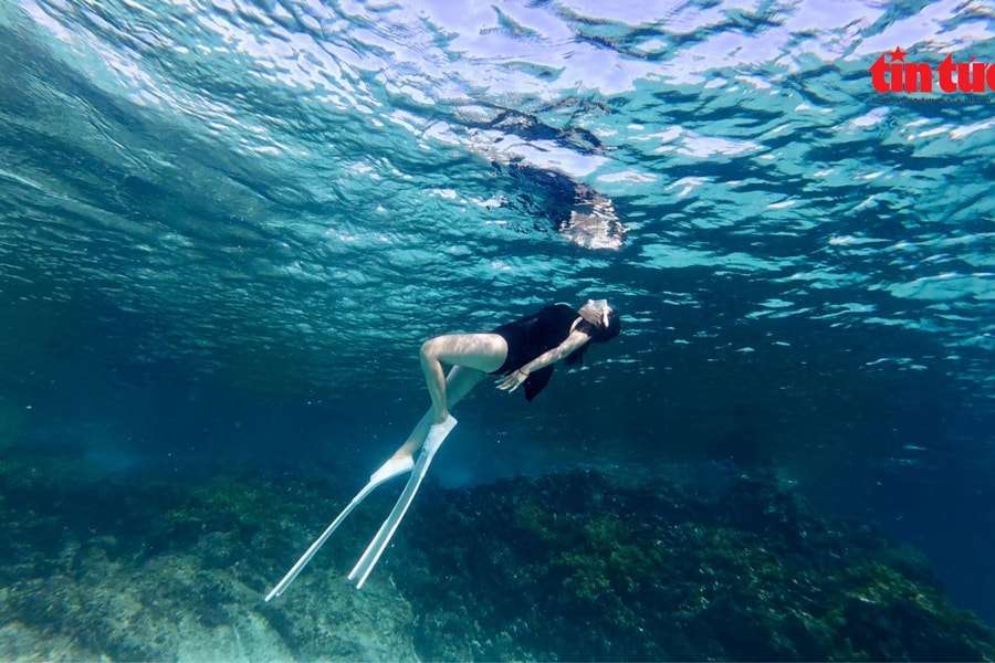 Khám phá Lý Sơn, hòn đảo được mệnh danh 'Maldives' của Việt Nam