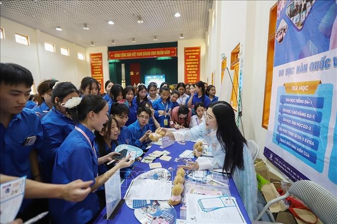 Định hướng nghề nghiệp cho thanh niên trong kỷ nguyên chuyển đổi số