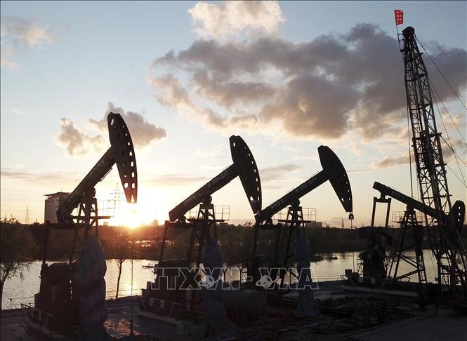 IEA cảnh báo tích trữ nhiên liệu có thể làm trầm trọng khủng hoảng