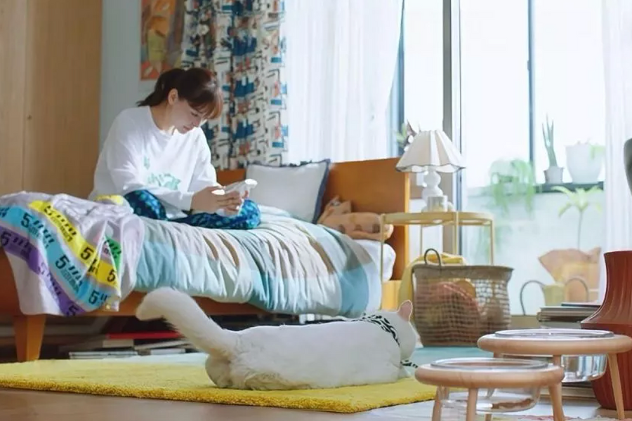 Lý do giới trung lưu Trung Quốc đi thuê thay vì mua nhà