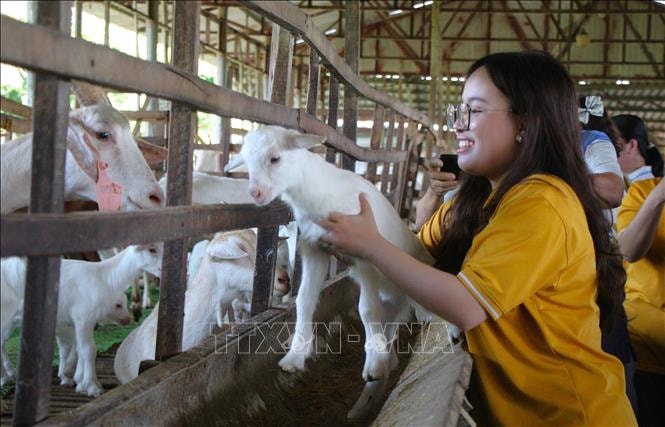 Gỡ 'nút thắt' để du lịch nông nghiệp, sinh thái phát triển xứng tầm