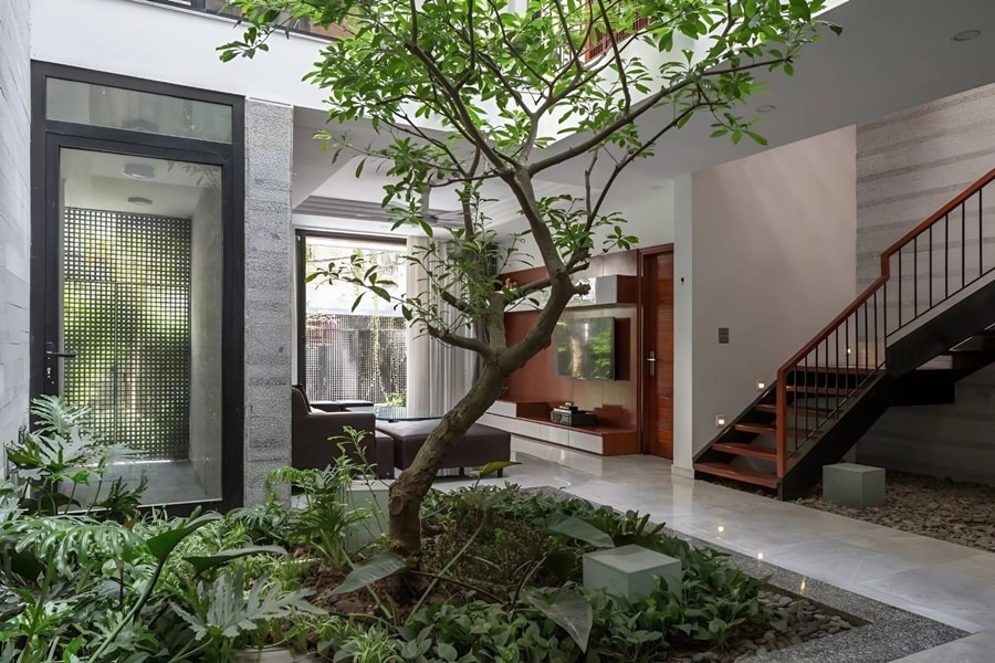 Những ý tưởng tạo không gian xanh cho nhà phố