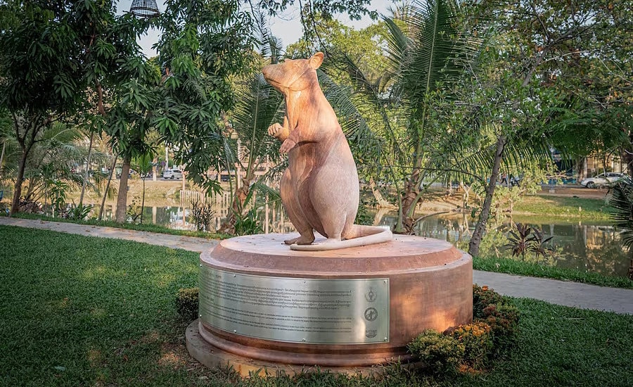 Chuột 'anh hùng' được dựng tượng ở Campuchia