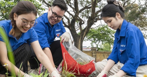 Hàng nghìn bạn trẻ nhập cuộc “Thử thách 21 ngày: Hành động Xanh - Chọn Tương lai Xanh”