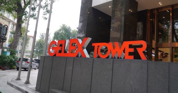 GELEX chia cổ tức và cổ phiếu thưởng tổng 45%, tăng vốn lên hơn 13.000 tỷ đồng