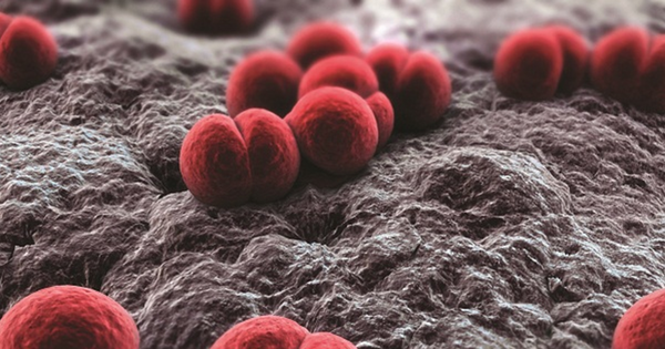 Viêm màng não mô cầu "sát thủ 24 giờ", bác sĩ cảnh báo nguy cơ