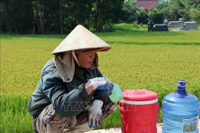 Chủ động bảo vệ sức khỏe, ngăn bệnh truyền nhiễm trong mùa nắng nóng