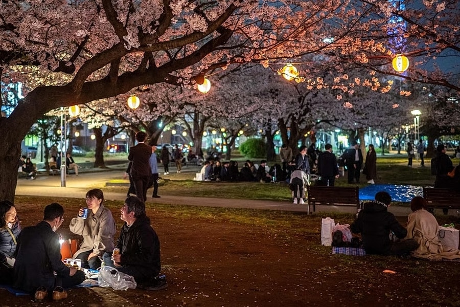 Tranh cãi du khách nhảy múa tại điểm ngắm hoa anh đào ở Nhật