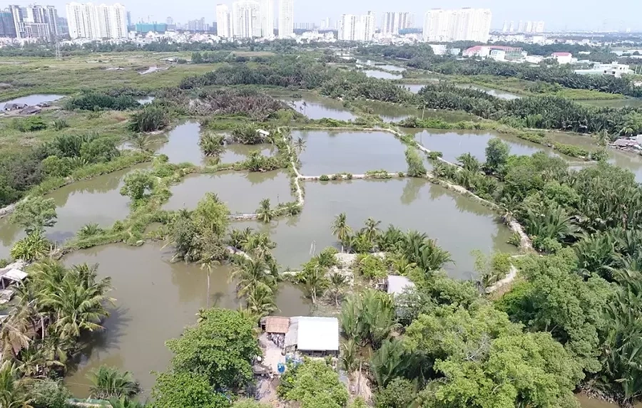 TP HCM loại 33 khu đất khỏi danh mục thí điểm nhà ở thương mại