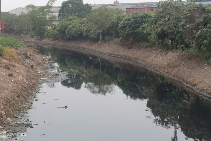 Bộ Nông nghiệp và Môi trường: Bắc Hưng Hải sẽ thay đổi từ năm 2030