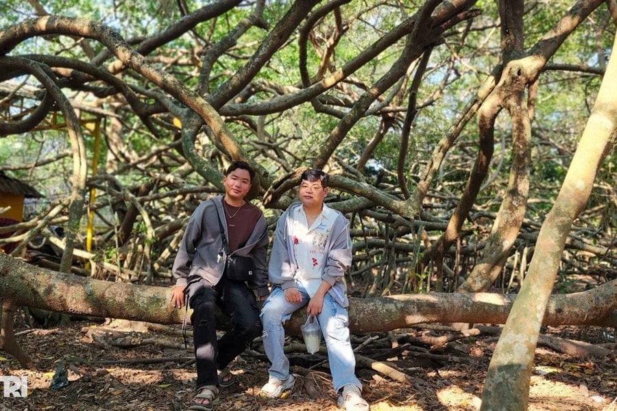 Nét đẹp ma mị của Giàn Gừa trăm tuổi từng là nơi “che bộ đội” ở Tây Đô