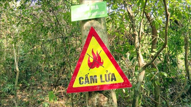 Cao điểm phòng, chống cháy rừng mùa nắng nóng