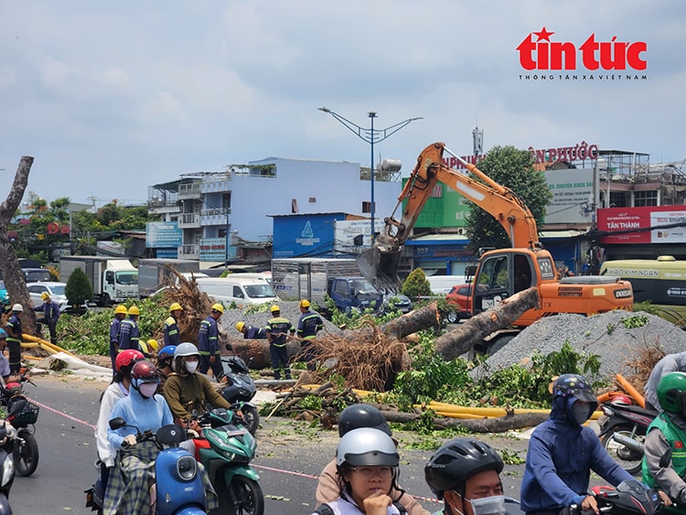 TP Hồ Chí Minh: Đốn hạ nhiều cây xanh phục vụ thi công nhà ga ngầm tuyến metro số 2