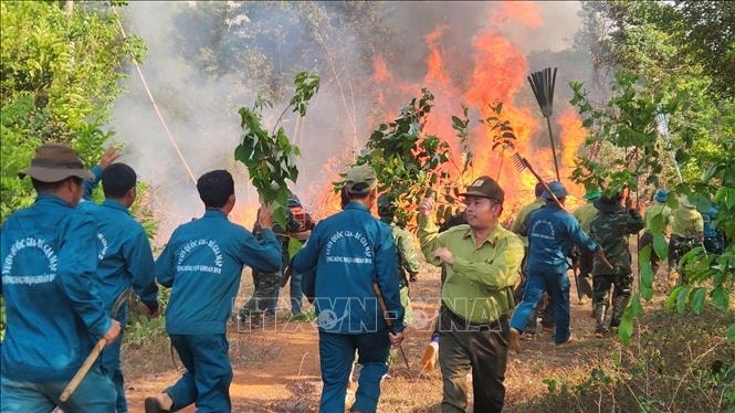 46 phường, xã nguy cơ cháy rừng cấp V, Đồng Nai khẩn trương ứng phó